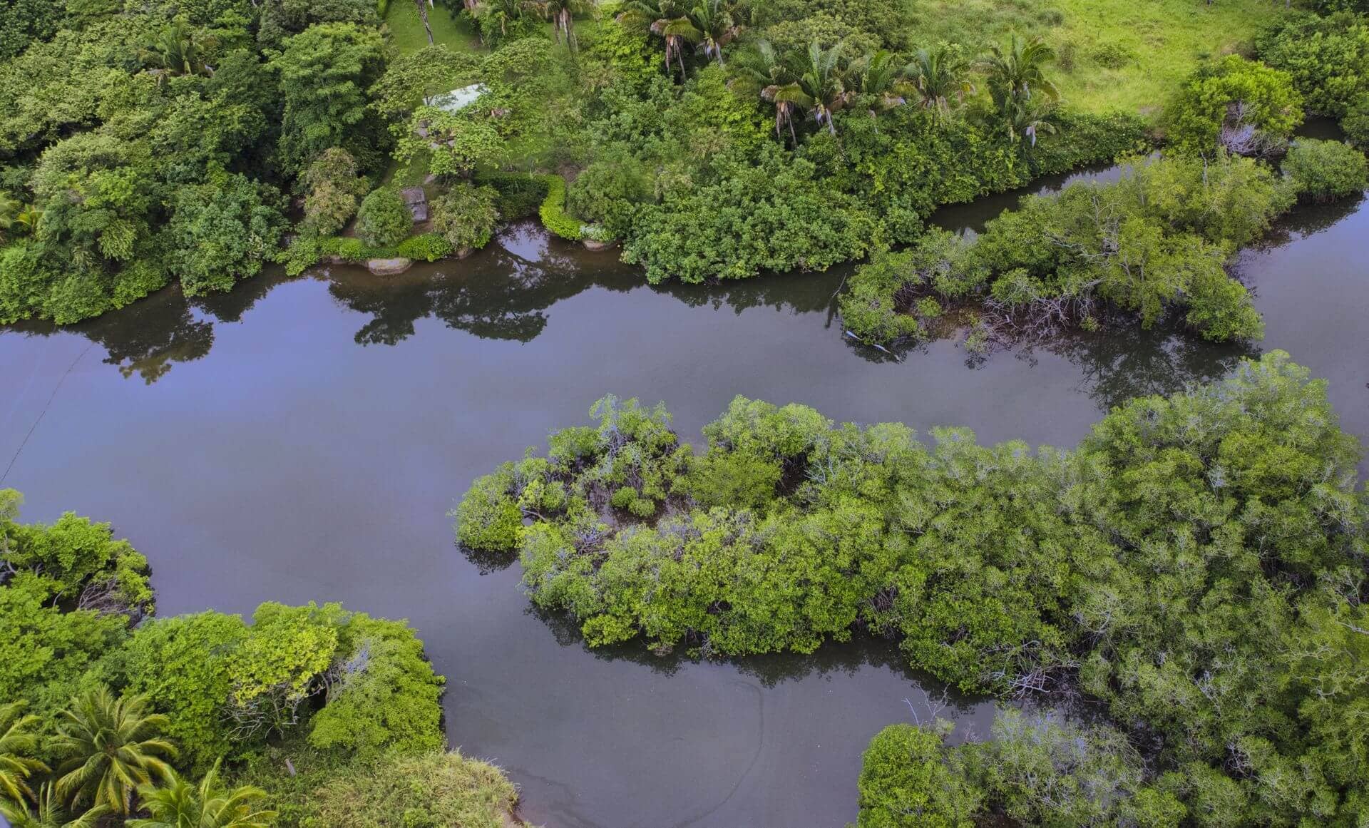 Barrigona Sustainable Nature Costa Rica