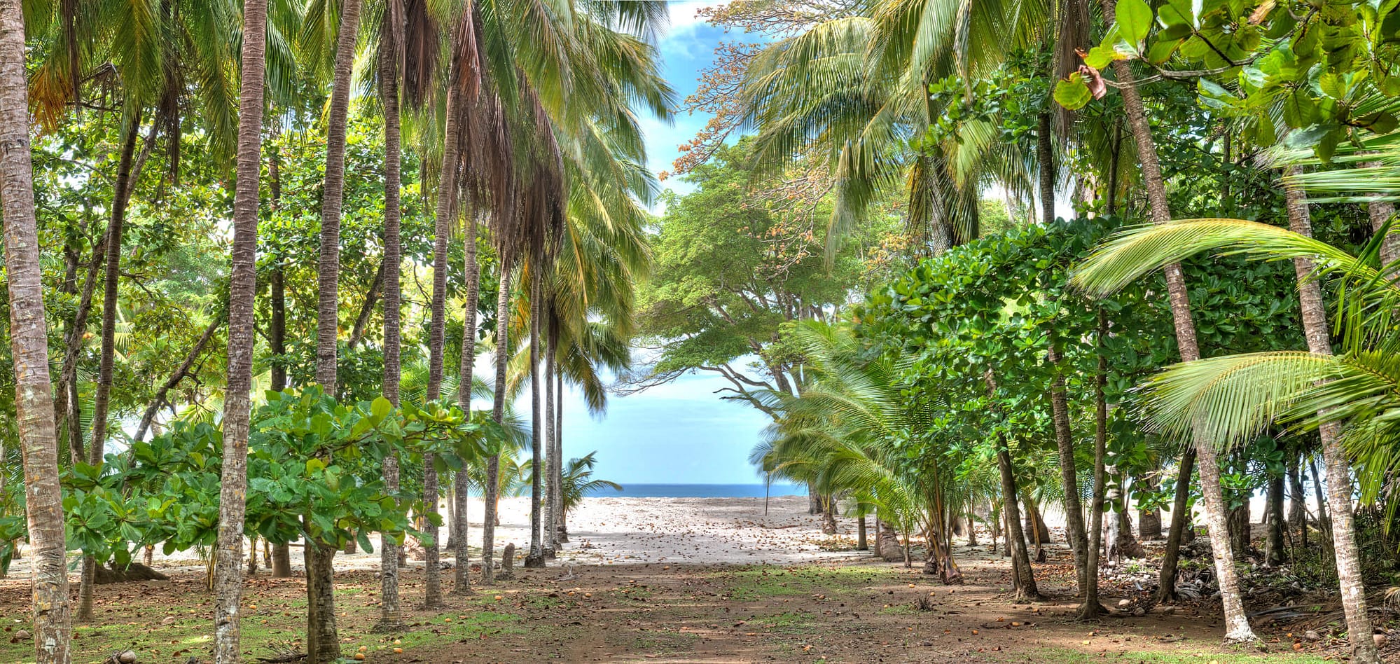 Playa Barrigona Costa Rica