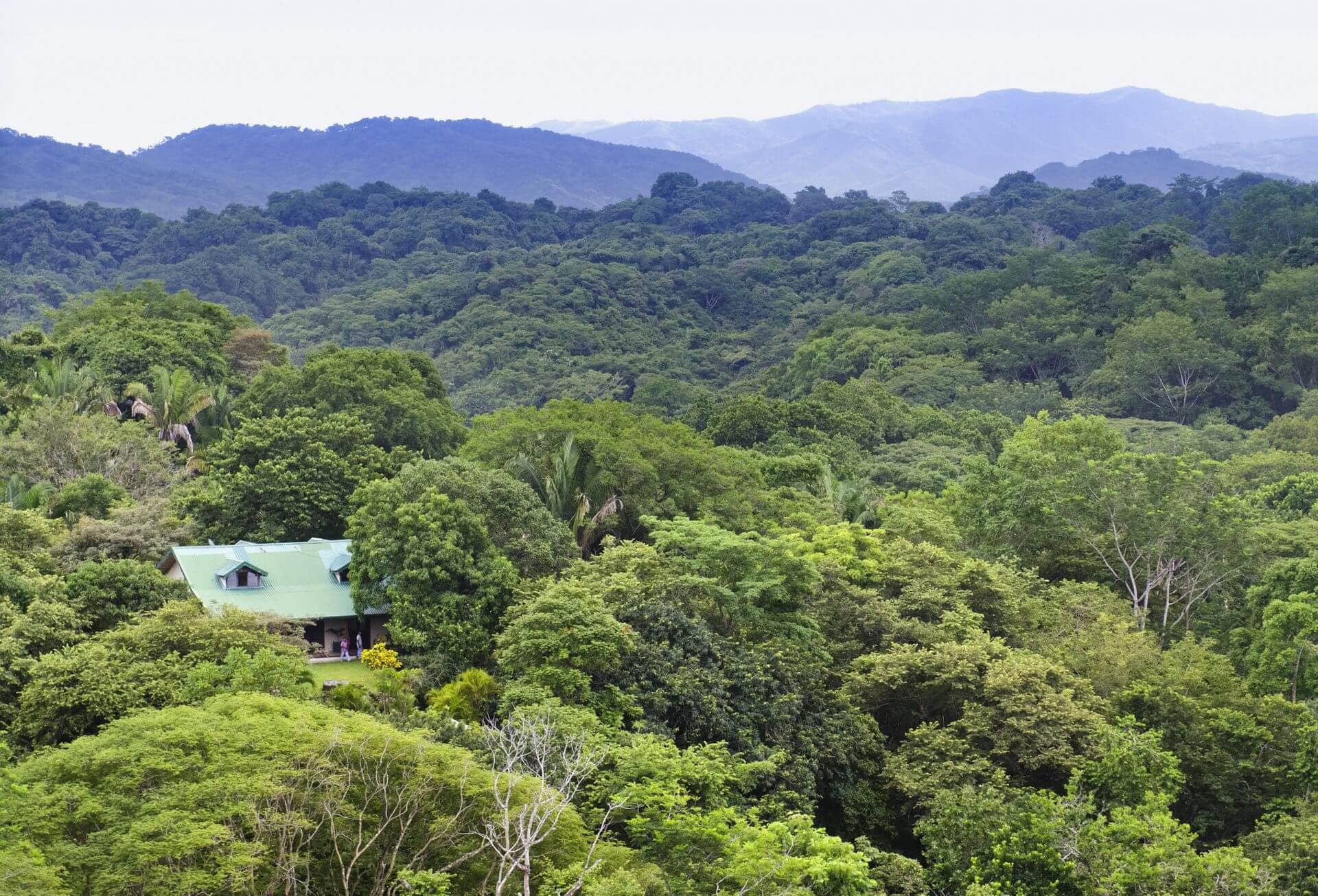 Barrigona Retreat in Costa Rica